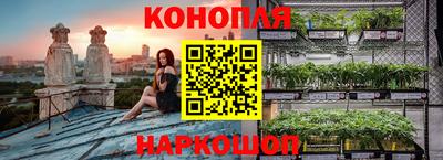 каннабис Будённовск